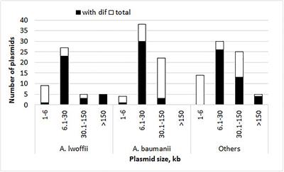 Adaptive dif Modules in Permafrost Strains of Acinetobacter lwoffii and Their Distribution and Abundance Among Present Day Acinetobacter Strains